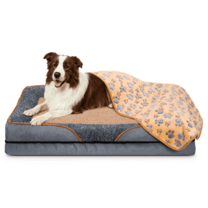 Cshidworld Orthopedic Dog Bed for Large and Medium Dogs, Dog Sofa Bed with Removable Washable Cover, Non-Slip Bottom, Couch Pet Bed with Fleece Dog Blanket, 30 x 20 x 5.5 Inch