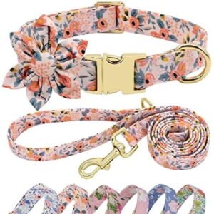 Cute Girl Dog Collar and Leash Set for Female Dogs- Floral Dog Collar with Flower for Small Medium Large Dogs Puppy, XS:Neck 8-12″, Leash 5FT, Orange-1