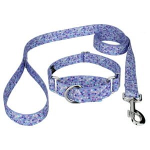 Country Brook Petz® Mermaid Mosaic Martingale Dog Collar and Leash, Medium