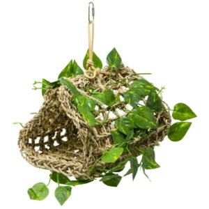 Penn-Plax Bird Life Hanging Hideout Lounger with Vines for Small Birds