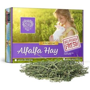 Small Pet Select Alfalfa Hay Pet Food for Young Rabbits, Guinea Pigs, Chinchillas, Tortoises and Other Small Animals, Easy to Store Box, 5 LB