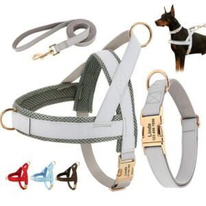 Pet Artist 3pcs Personalized Dog Harness & Collar & Leash set Metal ID Name Metal Buckle Mesh Padded Adjustable