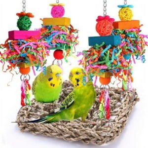 Parakeet Toys Bird Toys Conure Toys