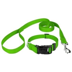 Country Brook Petz® Deluxe Hot Green Reflective Nylon Dog Collar & Leash – Small