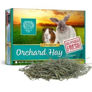 Small Pet Select Orchard Grass Hay Pet Food for Rabbits, Guinea Pigs, Chinchillas and Other Small Animals, Premium Natural Hay Grown in The US, 10 LB