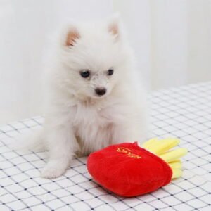Gallickan Plush Dog Toys, Plush Chips for Small & Medium Dogs, Food Shaped Puppy Toys, Food Themed Toys for Small & Medium Dog Breeds, Red