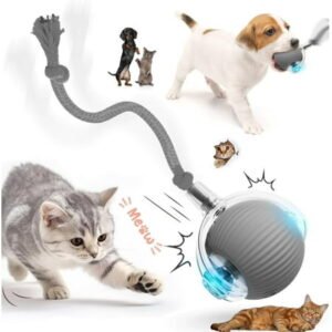 Interactive Electric Automatic Rolling Moving Rechargeable Self Play Stimulation Toy,Smart Pet Chase Ball with Speedy Tail Rope for Bored Indoor Cats enrichment,stimulating Dogs toy Small dogs (Red)