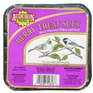 Global Harvest Foods Audubon Park Suet Cake Bird Food Berry – Wild Bird Suet – 12 Pack, 11 oz