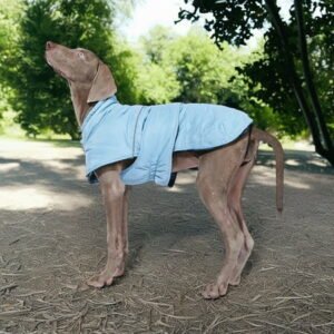 Demi Bonn Reversible Water Repellent Dog Jacket Pets Apparel Winter Warm Outdoor Sport Dog Coats for Winter Cold Weather Puppy Comfort Vest, Blue 2XL