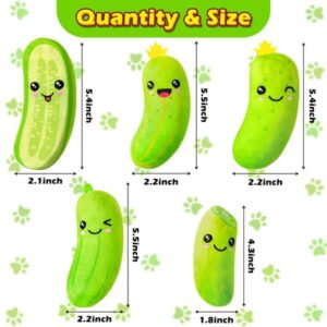 2ooya 5-Piece Catnip Cat Toy Set, Pickle Shape Plush Interactive