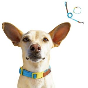 Dog Collar Leash Set, Adjustable Durable Nylon Pet Collars with Dog Leashes, Dog Basic Collar with D-Ring for Small Medium Dogs Blue XS