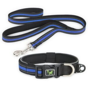 Deago Reflective Dog Collar and Leash Set Adjustable Padded Nylon Pet Collars with Dog Leashes for Small Medium Large Dogs (Blue, M)