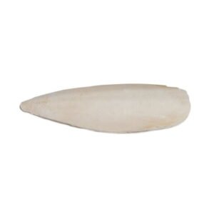 Prevue Pet Products 4-inch Cuttlebone / 2pcs 1142
