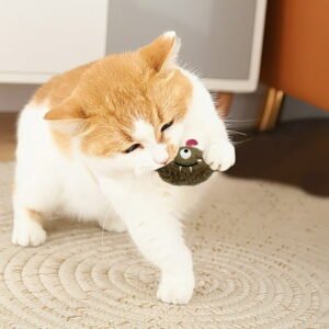 Interactive Pet Doll Toy for Dogs and Cats Soft Squeaky Cuddly Companion Animal Enrichment Activity Plaything Stress