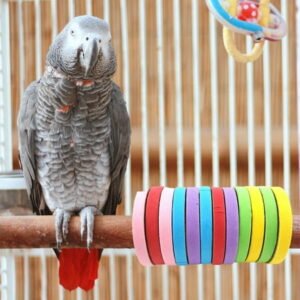 Visland 12PCS Paper Rings Bird Chewing Toys, Colorful Bite-resistant Biting Circle Interactive Toy for Parakeets Cockatiels Conures Macaws Parrots Love Birds Finches