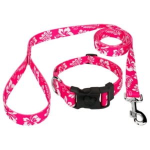 Country Brook Petz® Pink Hawaiian Everyday Dog Collar and Leash, Small