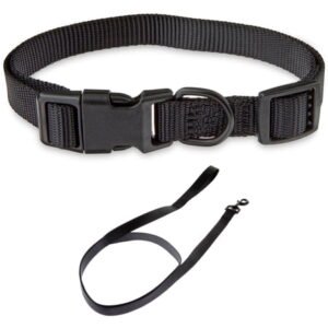 Vibrant Life Solid Polyester Adjustable Dog Collar, with 6ft Dog Leash, Black, Medium