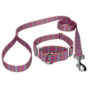 Country Brook Petz® Bubblegum Pink Plaid Martingale Dog Collar and Leash, Medium