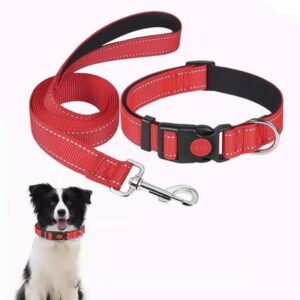 AUHomi Reflective Dog Collar and Leash Set with Safety Locking Buckle, Soft Collars And Handle, Adjustable Soft Nylon Pet Collars for Small Medium Dogs, Safely Take Your Pet For A Walk At Night (Red)