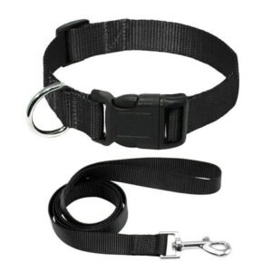 Didog Plain Durable Nylon Pet Puppy Cat Dog Collar and Matching Leash set Adjustable for Small Medium Large Breeds 4 Sizes