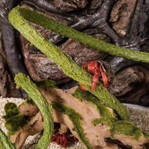 Trianu Hermit Crab Climbing Toys, Jungle Vines for Reptiles, Small Animal Terrarium Decor, Bendable, Artificial, for Hermit Crab, Frog and Reptile