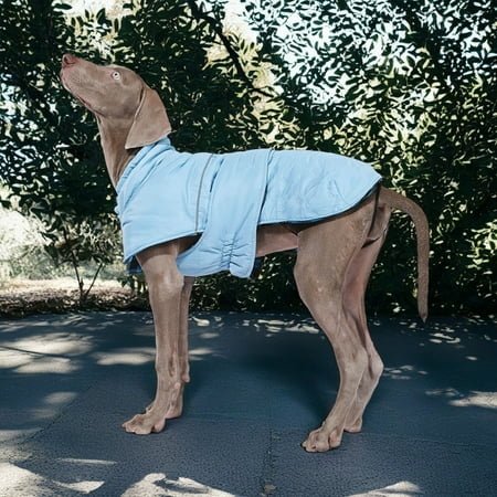 Demi Bonn Reversible Water Repellent Dog Jacket Pets Apparel Winter Warm Outdoor Sport Dog Coats for Winter Cold Weather Puppy Comfort Vest, Blue 3XL