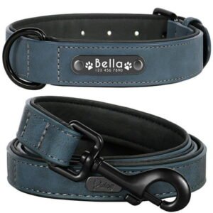 Pet Artist Dog Collar and Leash Set Personalized with Name – Soft Padded PU Leather, Custom Engraved Nameplate,S-2XL