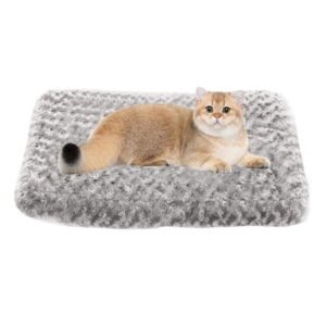 Cat Beds for Indoor Cats Clearance, Small Cat Bed Washable, Small Dog Bed Puppy Bed for Small Dogs – Anti-Slip Cat Sleeping Mat 17 Inches (Gray)