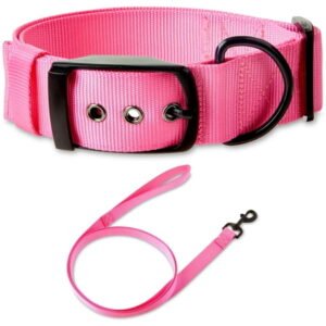 Vibrant Life Solid Polyester Adjustable Dog Collar, with 6ft Dog Leash, Pink, Extra Large