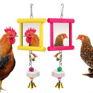 2Pcs Chicken Mirror Toys, Hanging Swing Mirror Toys with Bells and Beak Grinding Molar Stones for Roosters Hens Birds Parrots