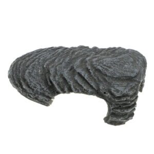 Vocoste Turtle Basking Platform Reptile Climbing Shale Resin Gray 5.2″x3.7″x1.7″