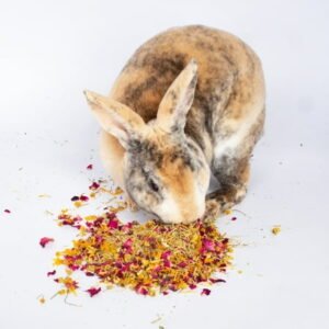 Bun’s Rescue Rabbit Bakery Forage Herbs For Rabbits, Guinea Pigs, Hamsters, Chinchillas, & Other Small Animals