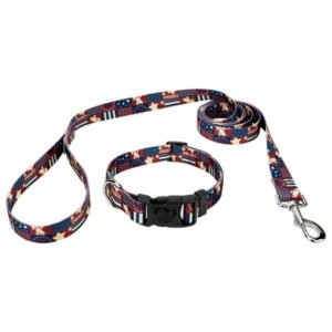 Country Brook Petz® Spirit of ’76 Everyday Dog Collar and Leash, Small