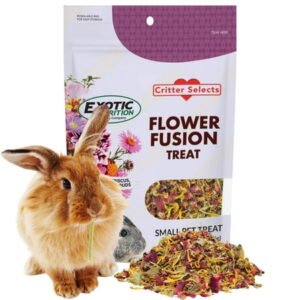 Flower Fusion Treat (3 oz.) – Healthy Natural Dried Flower Herbivore Treat – Chinchillas, Guinea Pigs, Rabbits, Prairie Dogs, Degus, Hamsters, Rats, Squirrels, Sugar Gliders & Other Small Pets