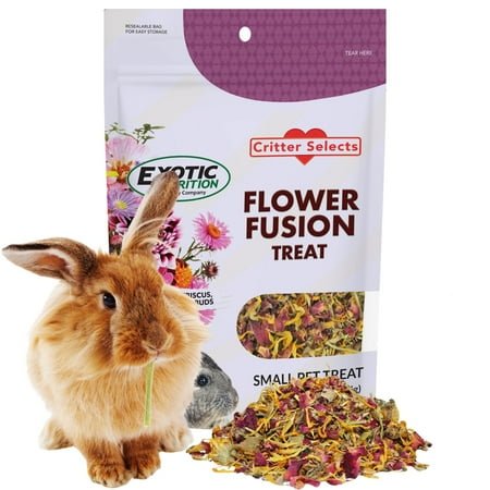Flower Fusion Treat (3 oz.) – Healthy Natural Dried Flower Herbivore Treat – Chinchillas, Guinea Pigs, Rabbits, Prairie Dogs, Degus, Hamsters, Rats, Squirrels, Sugar Gliders & Other Small Pets