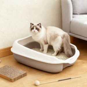 Pet Accessories for Indoor Cats with Semi-Enclosed Litter – Odor Control Breathable Material Easy Observation Durable Enclosure