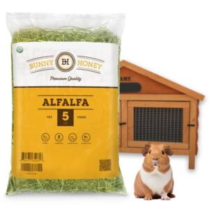 5 Lbs Fresh Alfalfa Hay by Bunny Honey – USDA Organic Natural Hay for Guinea Pigs, Rabbits, Hamsters, Hedgehogs, and More Small Select Animal Pets – 2nd Cut Fresh from Farm (5LB)