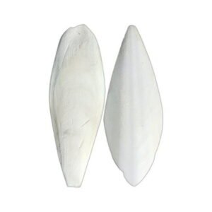 Natural Cuttlefish Bone Chewing Toy for Birds Parrots and Small Animals – Molar Teeth Grinding Ideal for Enrichment and