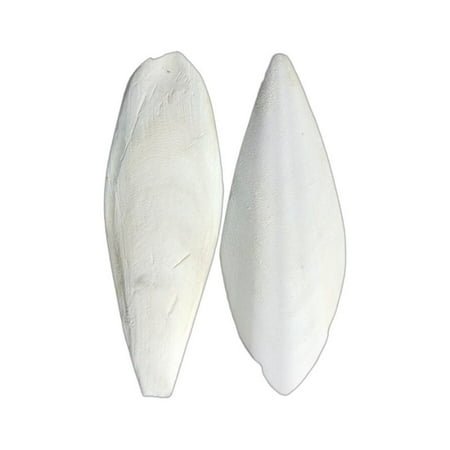 Natural Cuttlefish Bone Chewing Toy for Birds Parrots and Small Animals – Molar Teeth Grinding Ideal for Enrichment and