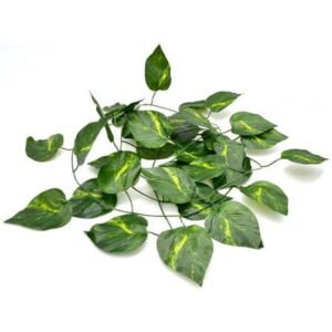 Jungle Reptile Vine