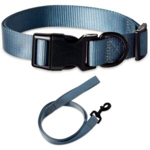 Vibrant Life Solid Polyester Adjustable Dog Collar, with 6ft Dog Leash, Gray, Large