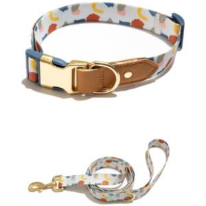 Vibrant Life Abstract Shapes Print Fashion Dog Collar with Metal Buckle and 6ft leash, White, Medium