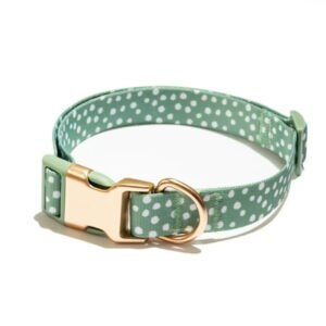 Vibrant Life Polka Dot Print Fashion Dog Collar with Metal Buckle and 6ft leash, Teal Green, Medium