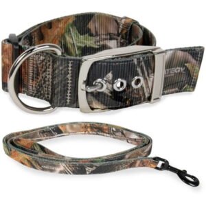 Vibrant Life Camo Print Fashion Dog Collar, Metal Buckle, with 5ft Camo Print Leash, Brown, Extra Large