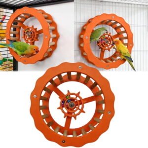 Interactive Parrot Exercise Wheel with Chewable Wooden Perch Bird Activity Cage Toy for Conures Budgies and Small Parrots