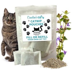 Caroline’s Cats Organic Catnip Packets for Cat Toys – Refill Pouches for Flapping Bird, Flopping Fish, and More, 10 Tea Bags