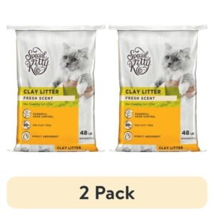 (2 pack) Special Kitty Non-Clumping Clay Cat Litter, Fresh Scent, 48 lb Bag