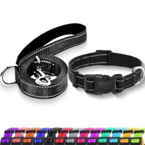 Reflective Dog Collar with Locking Buckle, Adjustable Soft Breathable Nylon Collars for Small, Medium and Large Dogs(Collar+Leash S Width 3/4″ Turquoise)