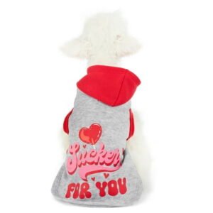 Vibrant Life Valentine’s Day Sucker for You Cat and Dog Hoodie, Gray, Extra Small