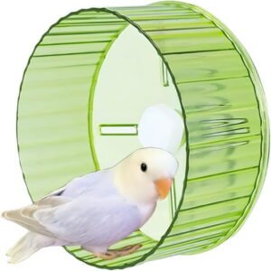 BESTSKY Bird Wheel Toy,Silent Parrot Exercise Wheel Interactive Rotating Toy for Small Medium Birds – Parakeets Cockatiels Conures Lovebirds Finches – Bird Cage Enrichment Accessory,6.7”D